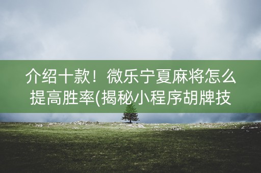 介绍十款！微乐宁夏麻将怎么提高胜率(揭秘小程序胡牌技巧)