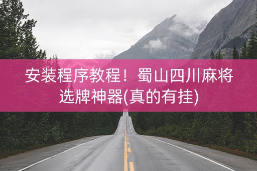 安装程序教程！蜀山四川麻将选牌神器(真的有挂)