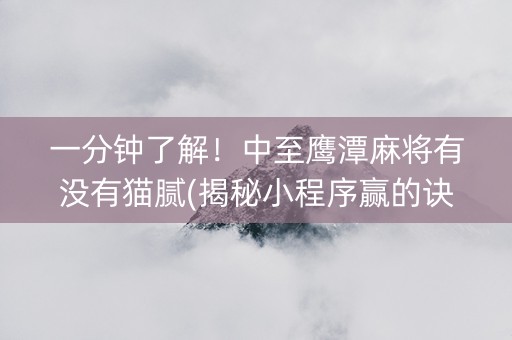 一分钟了解！中至鹰潭麻将有没有猫腻(揭秘小程序赢的诀窍)