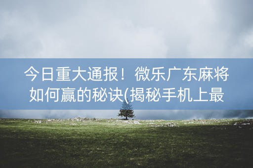 今日重大通报！微乐广东麻将如何赢的秘诀(揭秘手机上最新神器下载)
