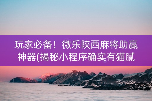 玩家必备！微乐陕西麻将助赢神器(揭秘小程序确实有猫腻)