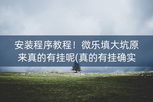 安装程序教程！微乐填大坑原来真的有挂呢(真的有挂确实有挂)