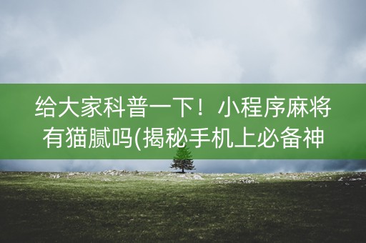 给大家科普一下！小程序麻将有猫腻吗(揭秘手机上必备神器)