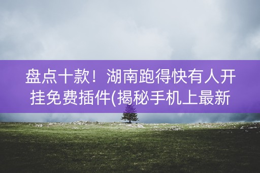盘点十款！湖南跑得快有人开挂免费插件(揭秘手机上最新神器下载)