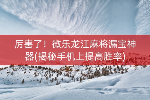 厉害了！微乐龙江麻将漏宝神器(揭秘手机上提高胜率)