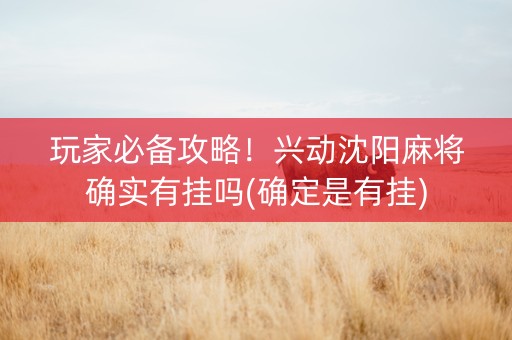 玩家必备攻略！兴动沈阳麻将确实有挂吗(确定是有挂)