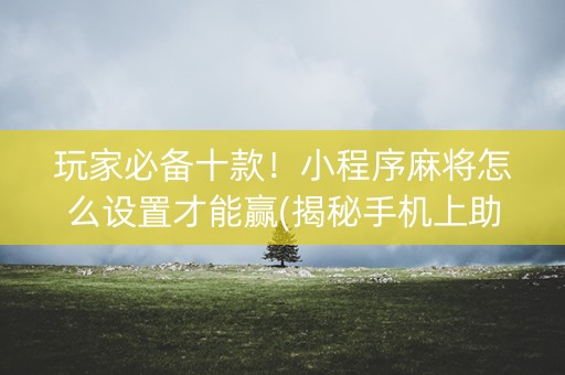 玩家必备十款！小程序麻将怎么设置才能赢(揭秘手机上助赢神器购买)