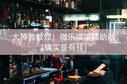 大神教教你！微乐掼蛋辅助器(确实是有挂)