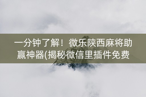 一分钟了解！微乐陕西麻将助赢神器(揭秘微信里插件免费)