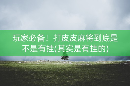 玩家必备！打皮皮麻将到底是不是有挂(其实是有挂的)