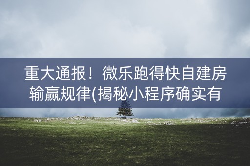 重大通报！微乐跑得快自建房输赢规律(揭秘小程序确实有猫腻)