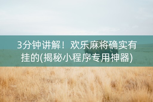 3分钟讲解！欢乐麻将确实有挂的(揭秘小程序专用神器)