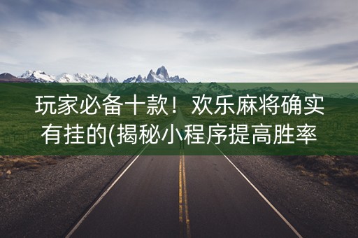 玩家必备十款！欢乐麻将确实有挂的(揭秘小程序提高胜率)