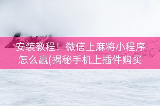 安装教程！微信上麻将小程序怎么赢(揭秘手机上插件购买)