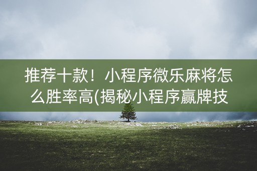 推荐十款！小程序微乐麻将怎么胜率高(揭秘小程序赢牌技巧)