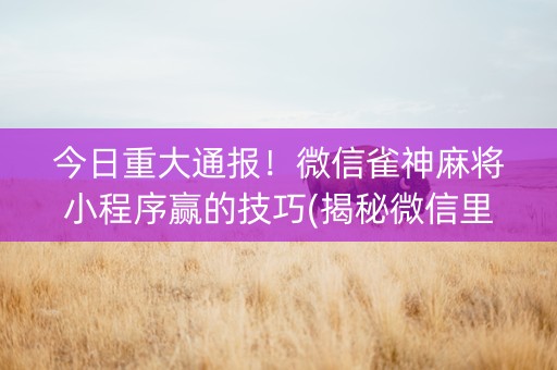 今日重大通报！微信雀神麻将小程序赢的技巧(揭秘微信里辅牌器)