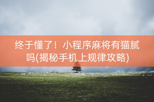 终于懂了！小程序麻将有猫腻吗(揭秘手机上规律攻略)