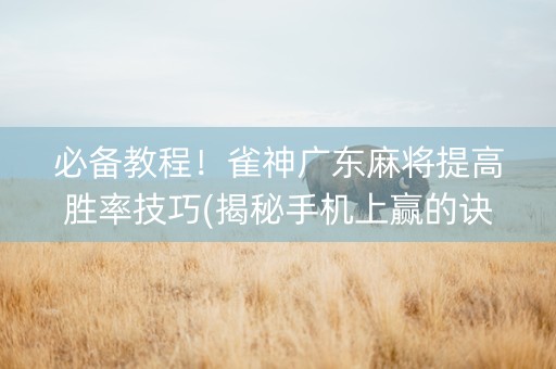 必备教程！雀神广东麻将提高胜率技巧(揭秘手机上赢的诀窍)