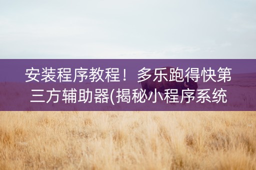安装程序教程！多乐跑得快第三方辅助器(揭秘小程序系统发好牌)