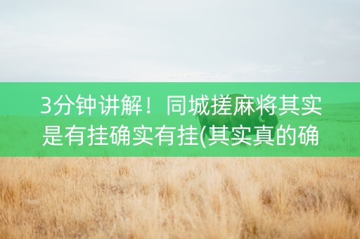 3分钟讲解！同城搓麻将其实是有挂确实有挂(其实真的确实有挂)