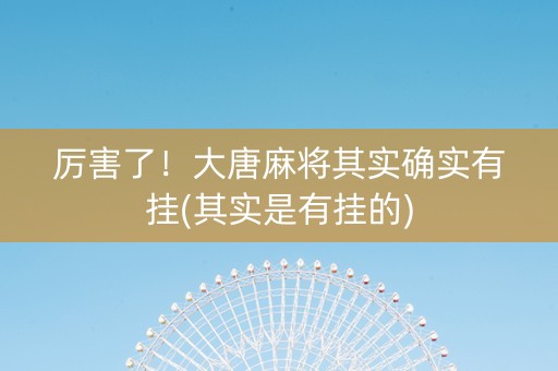 厉害了！大唐麻将其实确实有挂(其实是有挂的)