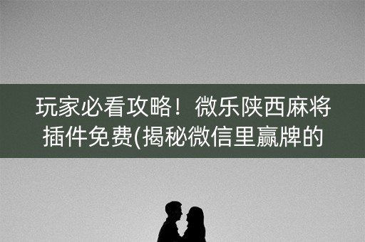 玩家必看攻略！微乐陕西麻将插件免费(揭秘微信里赢牌的技巧)
