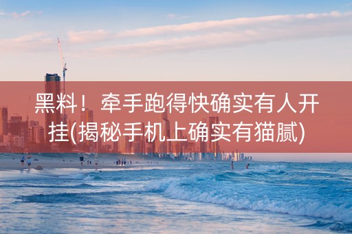 黑料！牵手跑得快确实有人开挂(揭秘手机上确实有猫腻)
