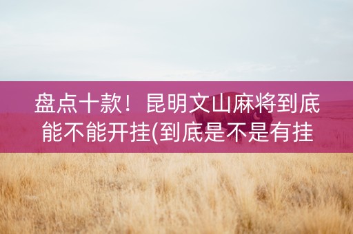盘点十款！昆明文山麻将到底能不能开挂(到底是不是有挂)