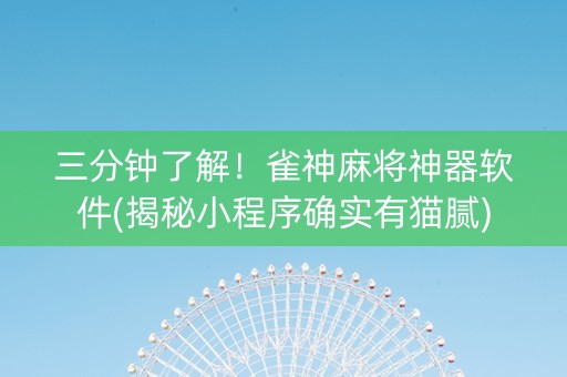三分钟了解！雀神麻将神器软件(揭秘小程序确实有猫腻)