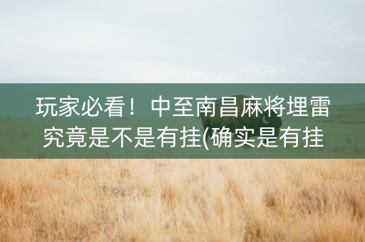 玩家必看！中至南昌麻将埋雷究竟是不是有挂(确实是有挂的)