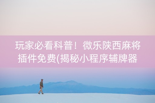 玩家必看科普！微乐陕西麻将插件免费(揭秘小程序辅牌器)