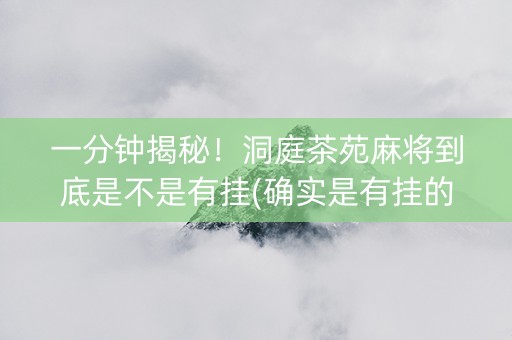 一分钟揭秘！洞庭茶苑麻将到底是不是有挂(确实是有挂的)