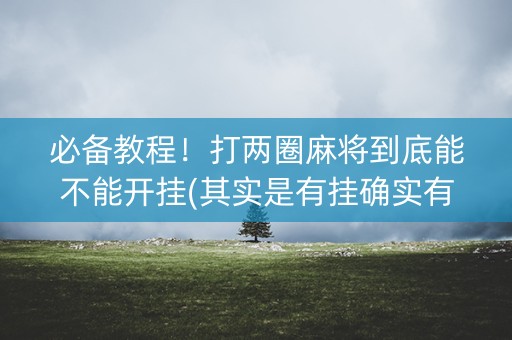 必备教程！打两圈麻将到底能不能开挂(其实是有挂确实有挂)