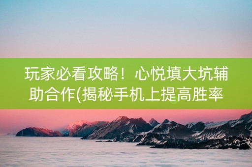 玩家必看攻略！心悦填大坑辅助合作(揭秘手机上提高胜率)
