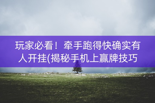 玩家必看！牵手跑得快确实有人开挂(揭秘手机上赢牌技巧)