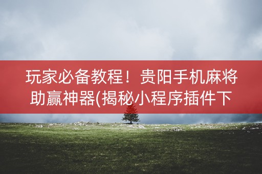 玩家必备教程！贵阳手机麻将助赢神器(揭秘小程序插件下载)
