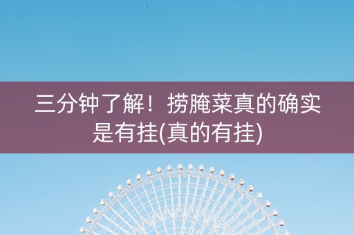 三分钟了解！捞腌菜真的确实是有挂(真的有挂)