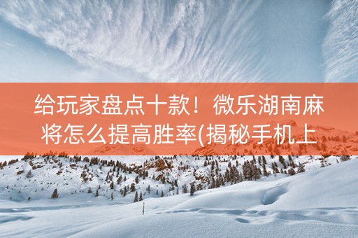 给玩家盘点十款！微乐湖南麻将怎么提高胜率(揭秘手机上提高胜率)