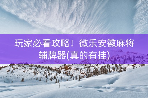 玩家必看攻略！微乐安徽麻将辅牌器(真的有挂)
