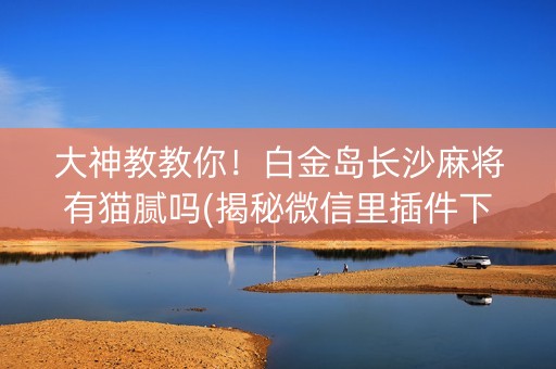 大神教教你！白金岛长沙麻将有猫腻吗(揭秘微信里插件下载)