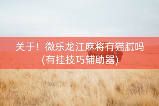 关于！微乐龙江麻将有猫腻吗(有挂技巧辅助器)