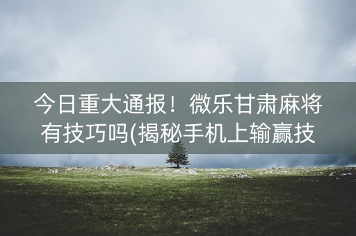 今日重大通报！微乐甘肃麻将有技巧吗(揭秘手机上输赢技巧)