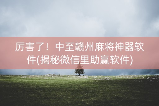 厉害了！中至赣州麻将神器软件(揭秘微信里助赢软件)