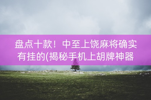 盘点十款！中至上饶麻将确实有挂的(揭秘手机上胡牌神器)
