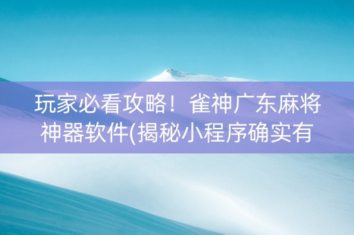 玩家必看攻略！雀神广东麻将神器软件(揭秘小程序确实有猫腻)