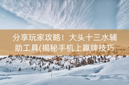 分享玩家攻略！大头十三水辅助工具(揭秘手机上赢牌技巧)