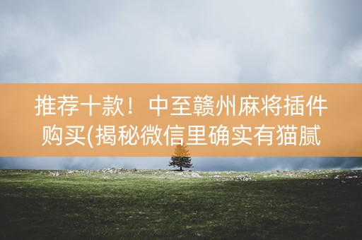 推荐十款！中至赣州麻将插件购买(揭秘微信里确实有猫腻)