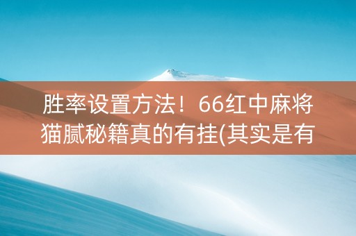 胜率设置方法！66红中麻将猫腻秘籍真的有挂(其实是有挂确实有挂)