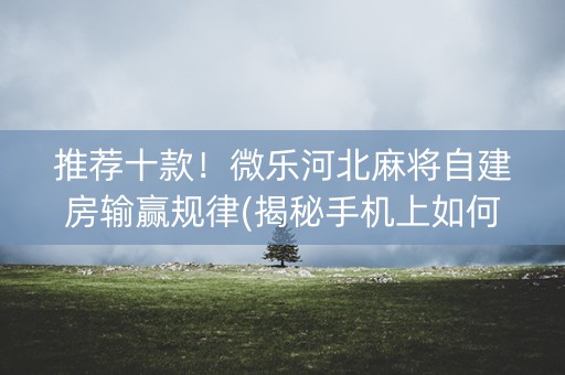 推荐十款！微乐河北麻将自建房输赢规律(揭秘手机上如何让牌变好)