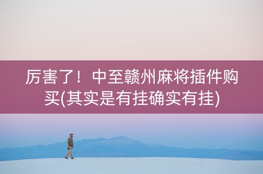 厉害了！中至赣州麻将插件购买(其实是有挂确实有挂)
